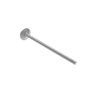 Exhaust Valve