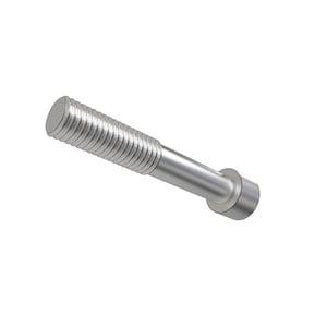 Screw