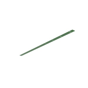 Stripper