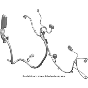 Image of 42538244