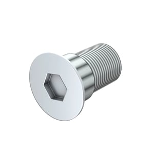 Screw