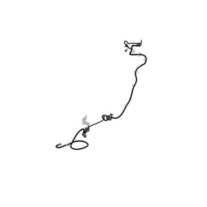 Image of BXX11138
