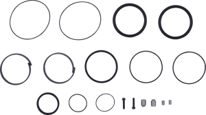 O-RING
