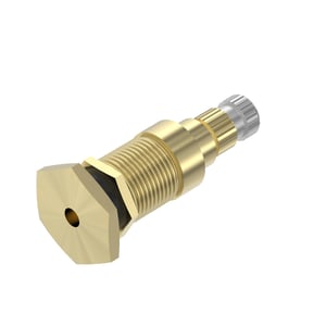 Tire Valve Stem