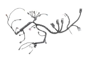 Image of 13470385