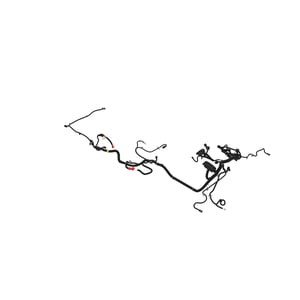 Image of AUC15688