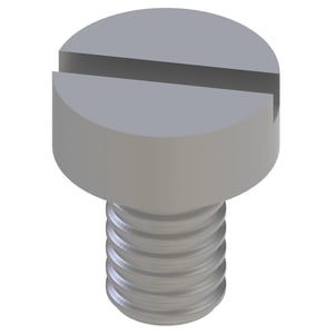 Screw