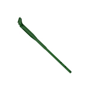 Arm