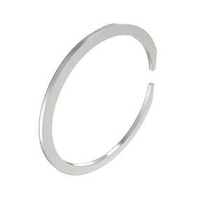 Snap Ring