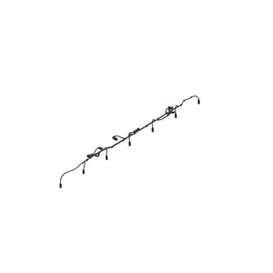 Image of AKK49690