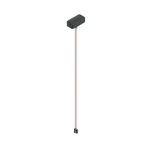 Tail Lamp