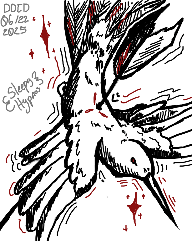 Cover Image of album