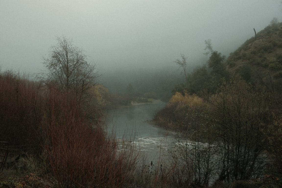 Foggy Morning On The Mokelumne River