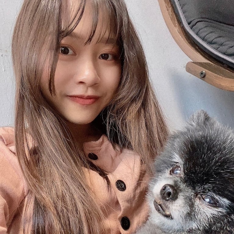 陳怡晶