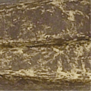 ANTICATO (AN)