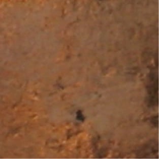 LIGHT BRONZE