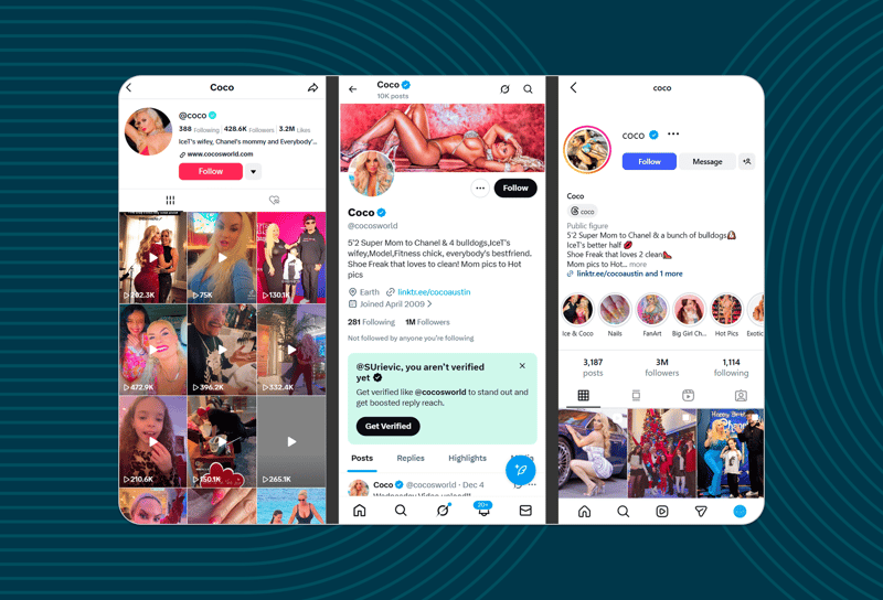 Multi-platform marketing using the Coco as an example