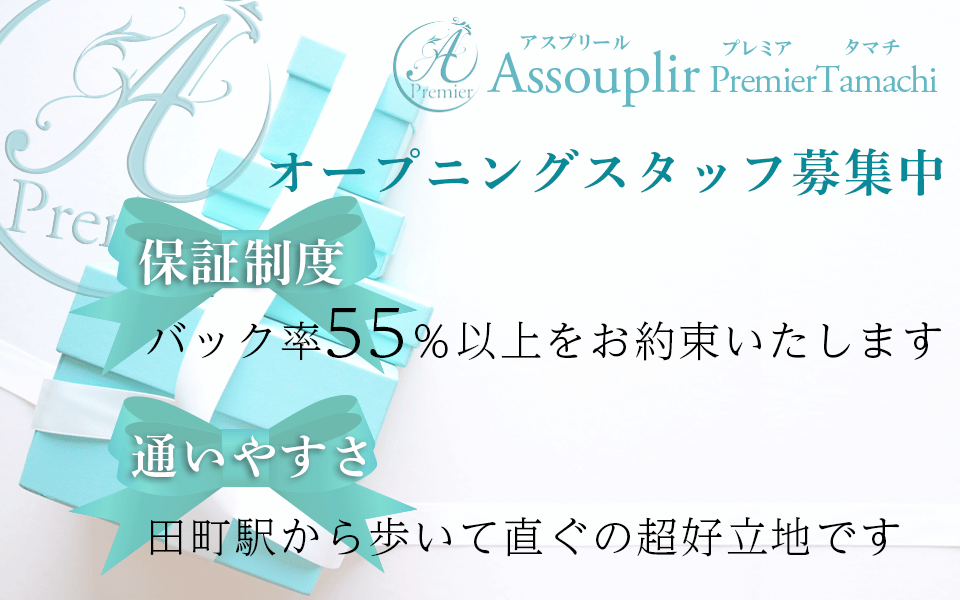 Assouplir Premier tamachi～アスプリールプレミアタマチ