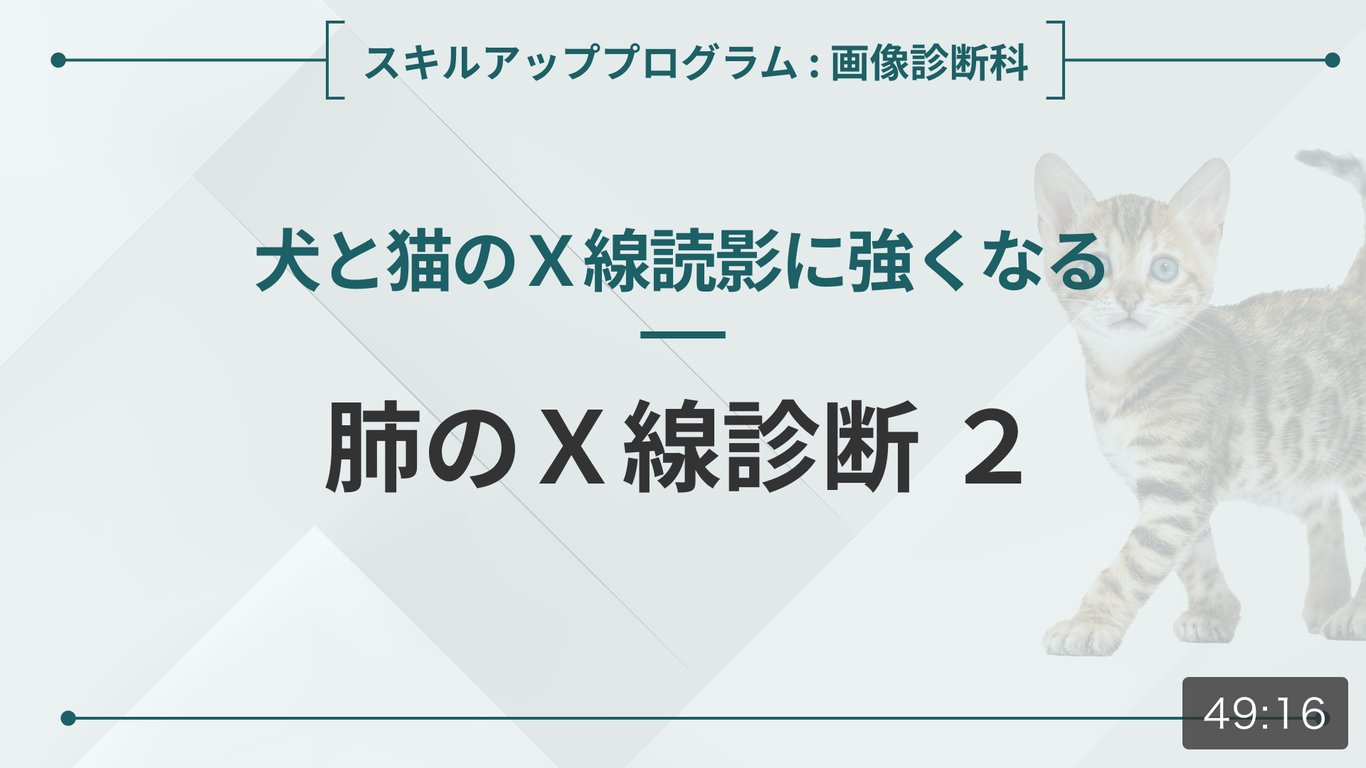 ASCK - 獣医師のためのオンライン動画学習サービス
