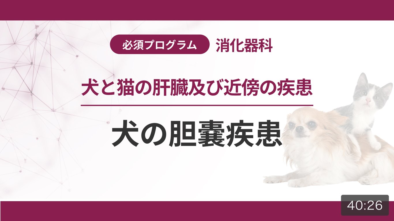 ASCK - 獣医師のためのオンライン動画学習サービス