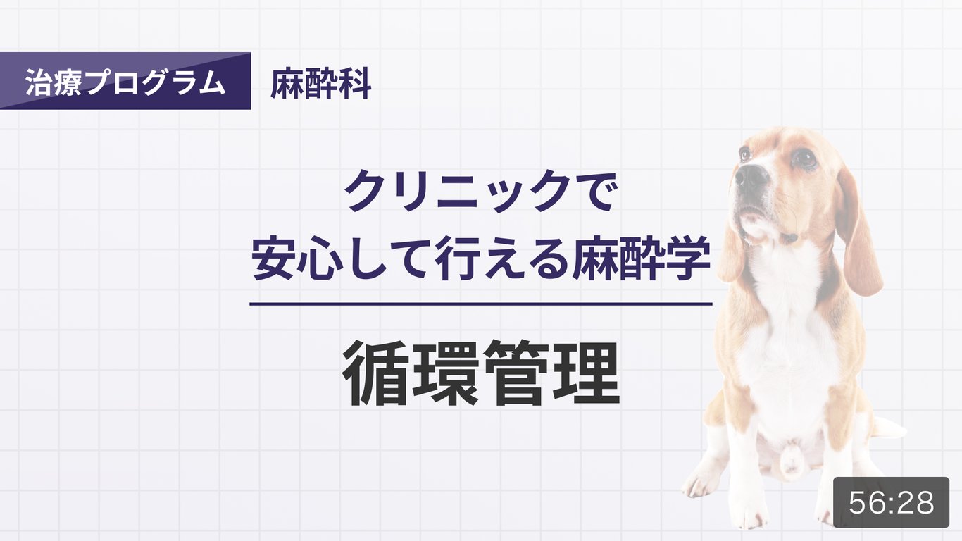 動画でわかる犬猫の神経ブロック 動画でわかる犬猫の神経ブロック / 飯塚 智也【監修】/井芹 俊恵