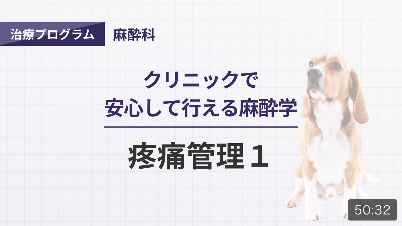 動画でわかる犬猫の神経ブロック 動画でわかる犬猫の神経ブロック | 臨床獣医学,内科系 | 株式
