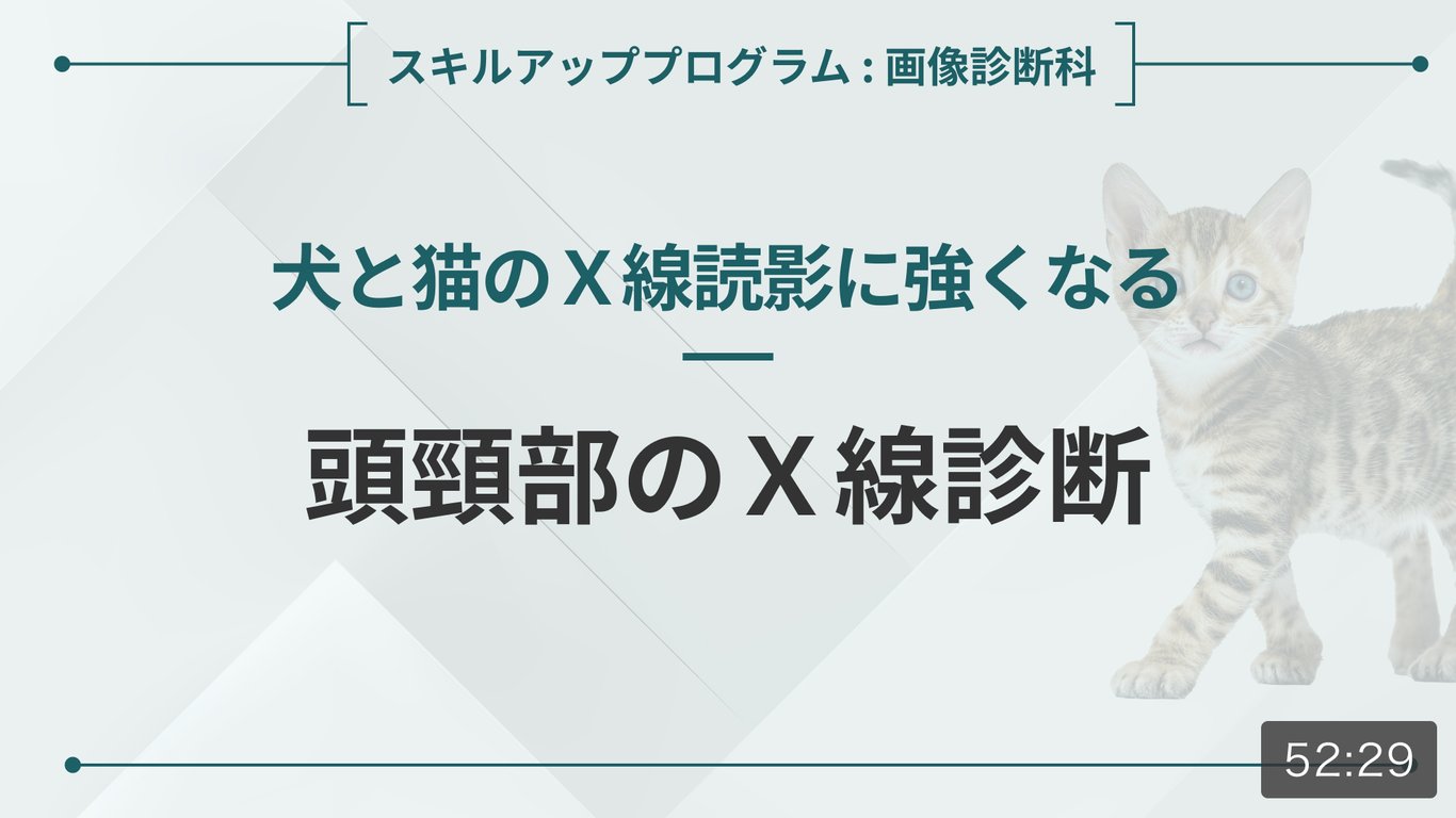 ASCK - 獣医師のためのオンライン動画学習サービス
