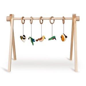 Quax Spielbogen Set, Birds