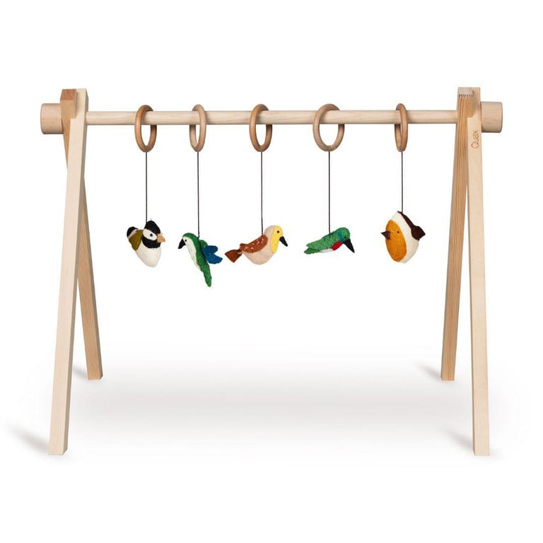 Quax Spielbogen Set, Birds