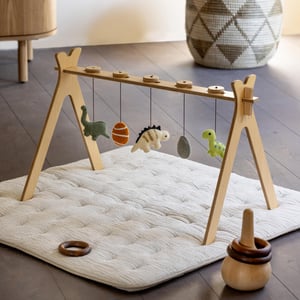 Quax Spielbogen Set, Dino