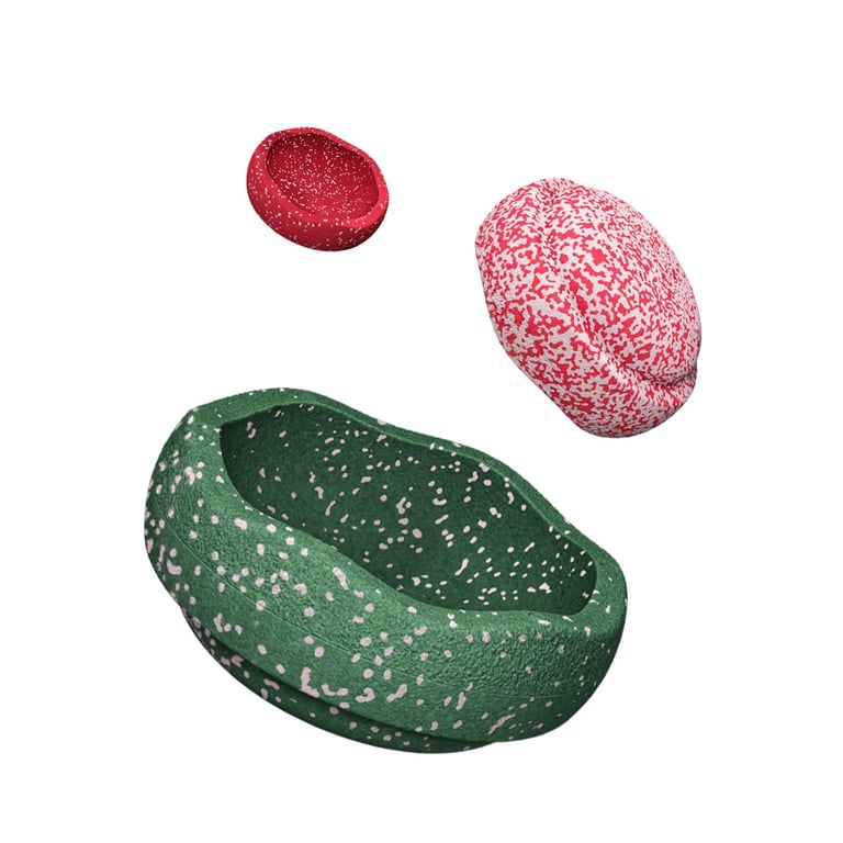 Stapelstein® Blush Special Trilogy Set