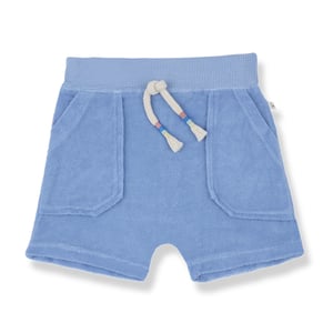 1+ in the family Bermuda Buger, ultramarine
