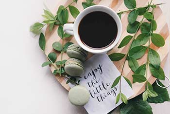 eine Kaffeetasse mit grünen Zweigen