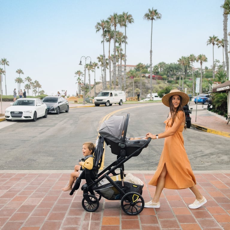 Veer &Roll Kinderwagengestell für Switchback image 1