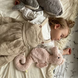 Senger Naturwelt Kuscheltier/Wärmekissen Seepferdchen klein, rosa