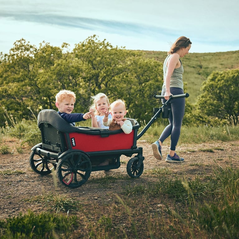 Veer Cruiser XL - dunkelgrau/schwarz 10