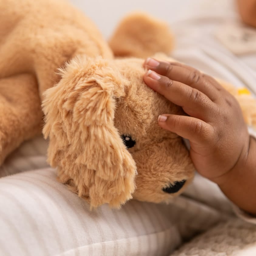 Steiff Kuscheltier Floppy Lumpi Hund, hellbraun liegend 1