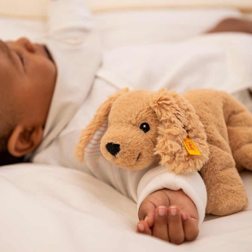 Steiff Kuscheltier Floppy Lumpi Hund, hellbraun liegend 2