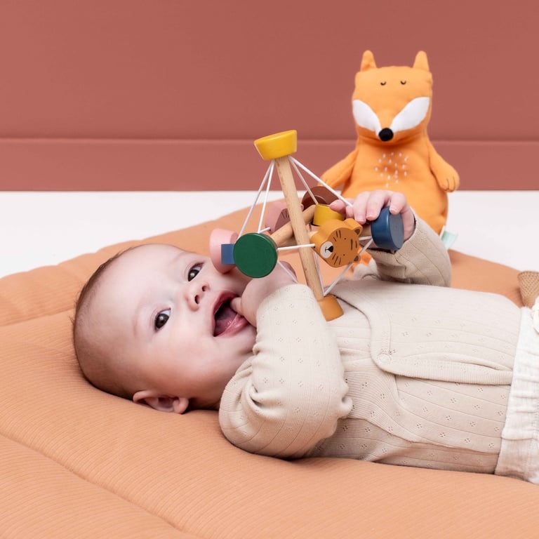 Trixie Aktivitätsball aus Holz 1