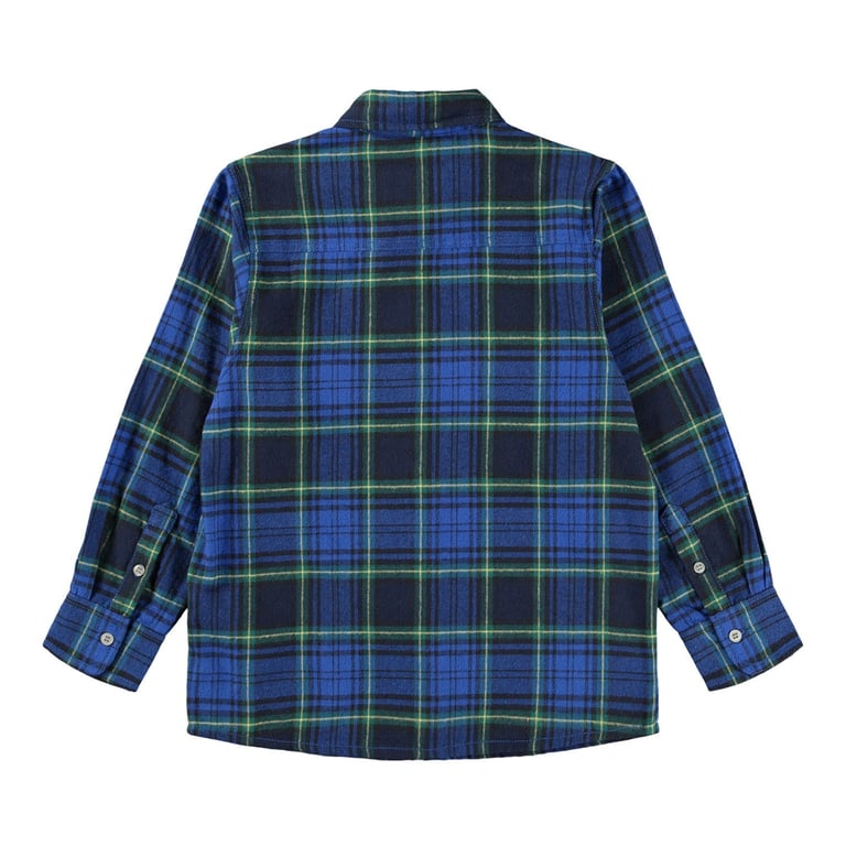 Molo Rozzy Depths Check 1