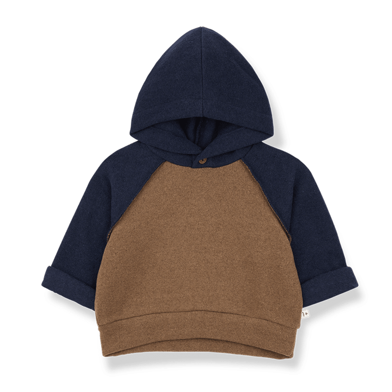 1+ in the family Hoodie HAKON, castagna