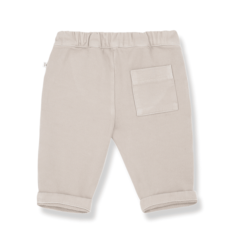 1+ in the family Hose BLAS, tortora