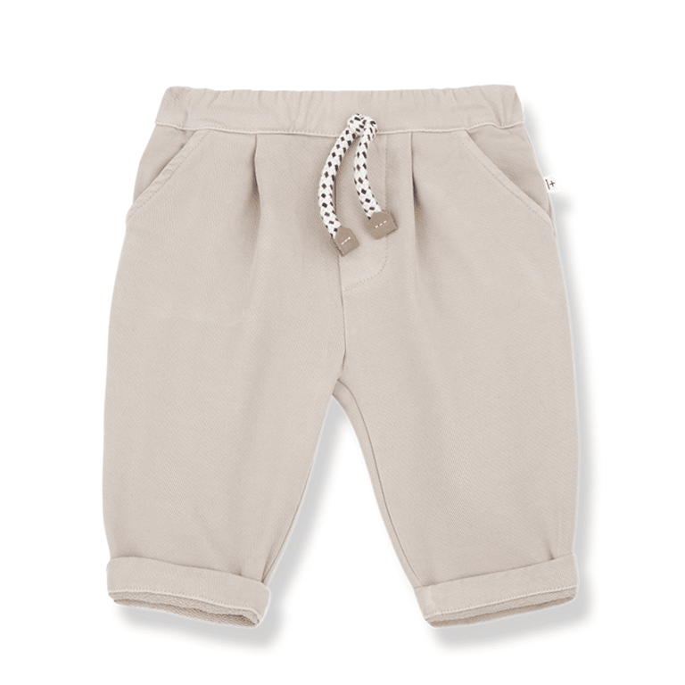 1+ in the family Hose BLAS, tortora