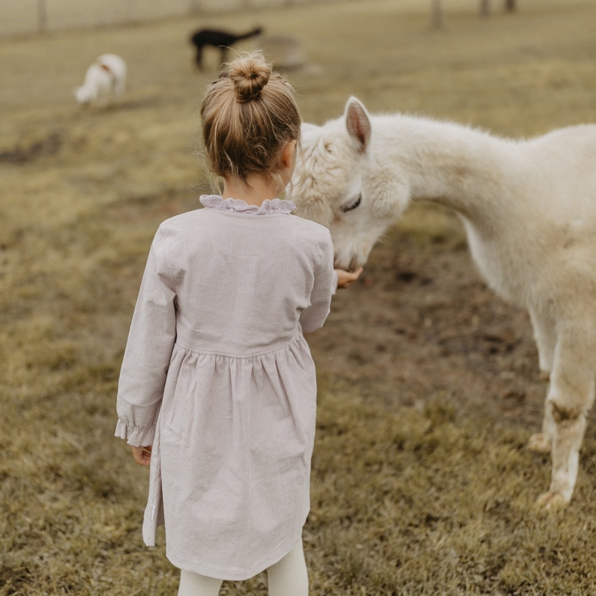 Leevje Cordkleid mit Rüschendetails, lavender 4