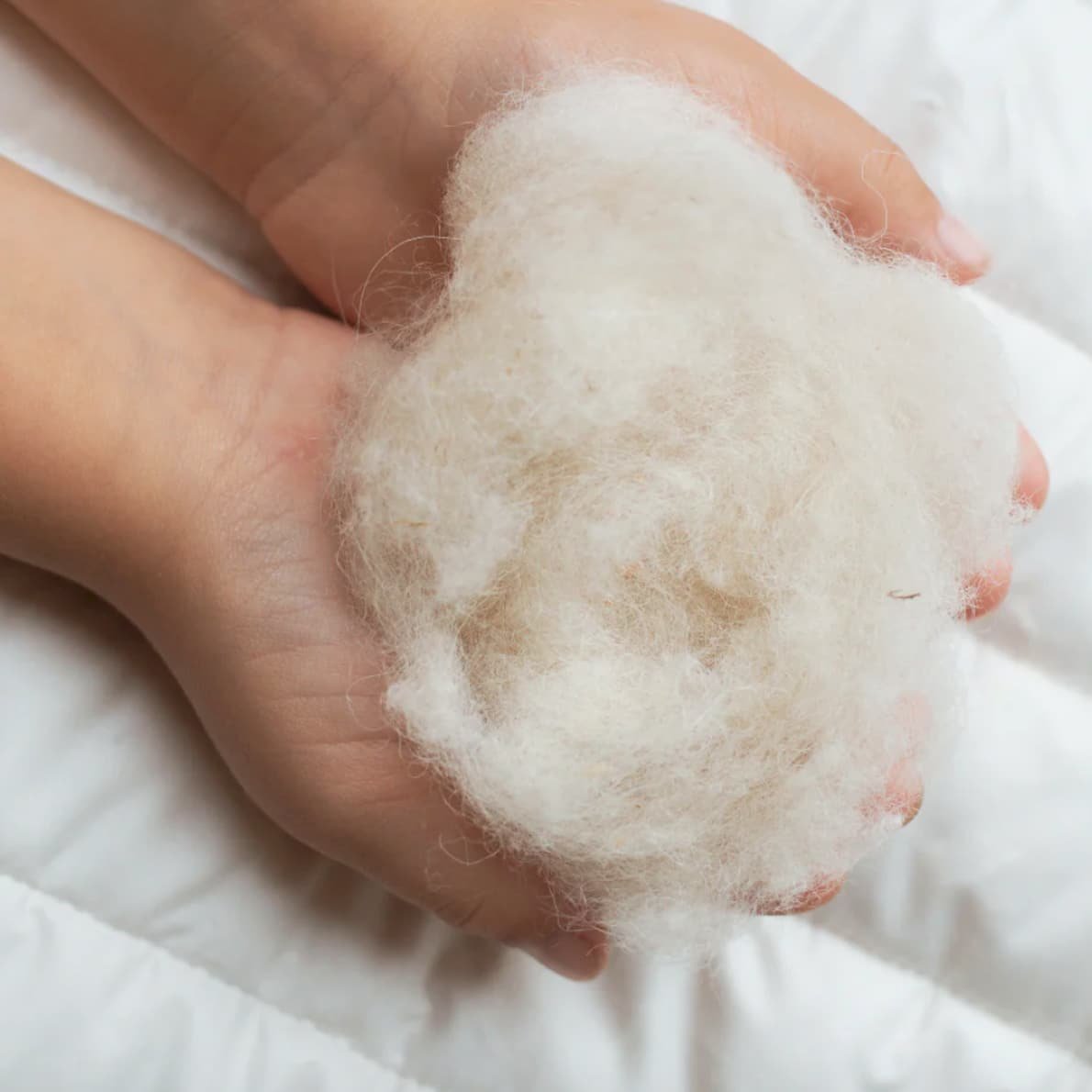 Murmunto Kinder-Kopfkissen Kapok Captain Kapok Top (40 x 60 cm) 3