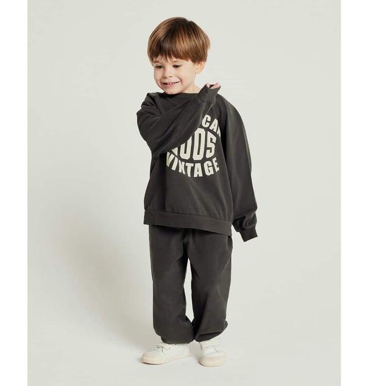 American Vintage Sweatshirt Fazy, Acier Vintage 1