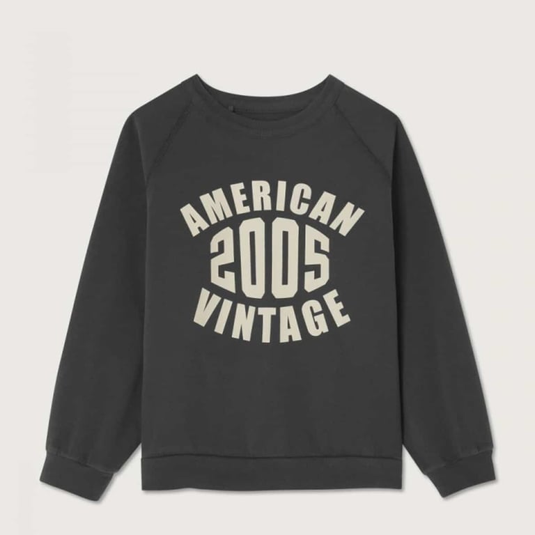 American Vintage Sweatshirt Fazy, Acier Vintage