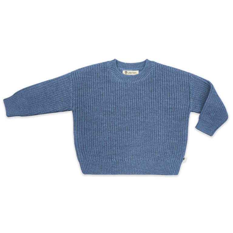Lille Toni Pullover Paul, blue
