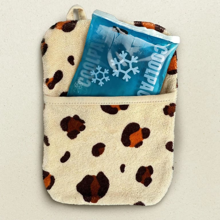 Little Casimir Kühlpackschutz Frosty Friend Leo