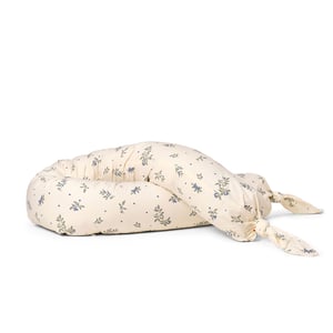 Dear April Bettschlange, Blueberries